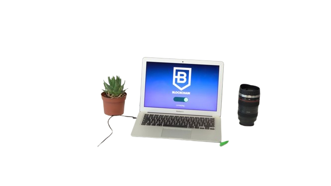 7 Cybersecurity