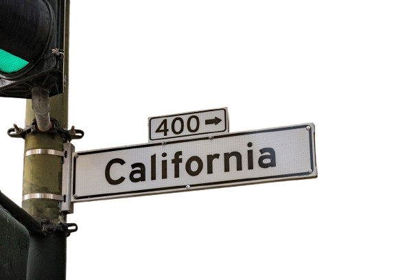 How to Start an LLC in Your State